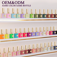 Kit de vernis gel OEM&ODM, même couleur, même flacon, marque privée, vente en gros, sans HEMA ni TPO, vernis à ongles en gel, logo personnalisé