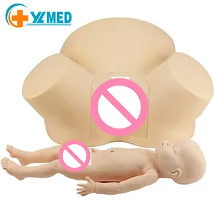 Tıbbi öğretim ve eğitim için ebelik eğitim modeli PVC obstetrik emek ve ebelik eğitim simülatörü