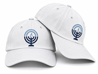 Casquette de baseball personnalisée en gros à 6 panneaux, motif léopard à carreaux bleus et blancs, réglable avec fermeture snapback, style Dad Hat unisexe, décontractée et sportive