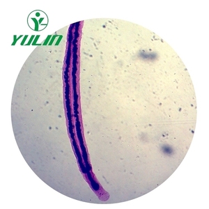 Vetrini per microscopio preparati per parassitologia rara verniciati professionali vetrini didattici di vendita calda in set di diapositive per biologia universitaria - Product Image 3
