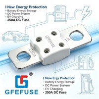 Cartouche de fusible automobile GFEFUSE 100A-800A 125V type boulon avec porte-fusible en céramique, bornes en alliage de cuivre, série ANL/B150SF39