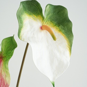 Chất Lượng Cao Lớn Màu Xanh Lá Cây Nhân Tạo PU Hoa Giả Calla Lily Hoa Nghệ Thuật Calla Lily Nến Trang Trí Ngày Valentine Năm Mới - Product Image 4