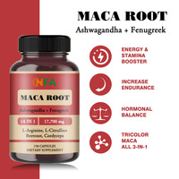 Cápsulas de Maca Premium a Precios de Fábrica OEM ODM, Ashwagandha para Aumentar la Energía, la Resistencia y la Energía, Suplementos Herbales 100% Naturales