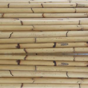 Meilleures ventes de cannes en rotin brut agricole de 3 m et 4 m / cannes en bambou pour meubles et artisanat - Product Image 2