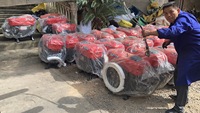 Pompe à aération à roue à aubes en acier inoxydable à 12 pales, efficace, à moteur diesel Changfa, pour bassin de poissons et crevettes, pour le refoulement de l'eau vive