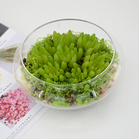 Collection élégante de plantes succulentes artificielles en pots de verre, idéale pour les décorations de mariage, les fêtes et comme idée cadeau pour la maison.