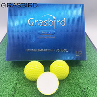 Logo dan Kemasan Kustom Bola Golf 2Piece Jarak Jauh untuk Tur Golf