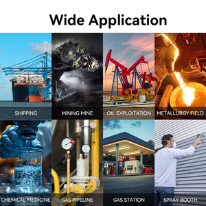 Für Bosean Edelstahls chale Explosions geschützte feste H2S-Gasdetektor Online Wasserstoffsulfidgas-Sicherheits vorrichtung Gasana lysa toren - Product Image 5