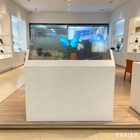 Afficheur numérique OLED personnalisable de 55 pouces avec fonction SDK, résolution 1920x1080, design transparent pour la publicité dans les ascenseurs