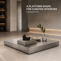 Table basse KINNO en acier inoxydable à profil bas 100x100x15cm, table carrée en métal sablé pour salon design, OEM ODM