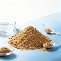 Poudre de cumin moulu pur, arôme intense, pour cuisine, barbecue, curry, assaisonnement en vrac, fourni par l'usine