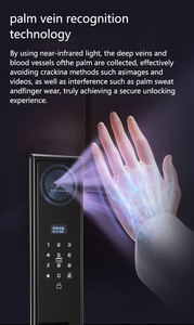 カメラ付きTYSH3d顔認識スマートドアロックCerraduraWifi生体認証指紋セキュリティ全自動スマートロック - Product Image 4