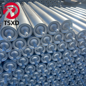 Rodillo Transportador de Gravedad con Resorte de Acero Inoxidable Galvanizado de Alta Calidad para Carga Logística, el Mejor de Fábrica - Product Image 3