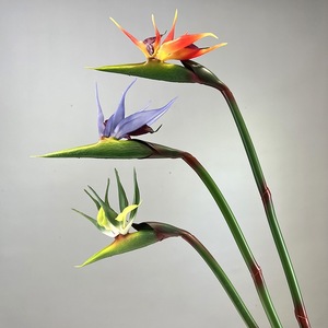 LO-1208 Vente en gros de <span class=keywords><strong>fleurs</strong></span> artificielles <span class=keywords><strong>Strelitzia</strong></span> (oignon d'Inde) à toucher réel de 85 cm pour la décoration des halls d'hôtel et des vitrines - Product Image 1
