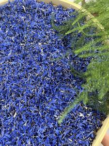 オーガニックファーミングケーキデコレーションドライCentaureaCyanusの花びらブルーコーンフラワーの花びらお茶 - Product Image 6