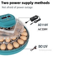 Capacité de 15 œufs Mini incubateur d'œufs entièrement automatique avec plateaux