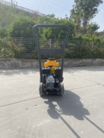 Compacteur de sol en fonte ductile de type NEAT WACKER NEUSON avec réservoir d'eau, moteur HONDA, roulement NSK, faible coût d'entretien