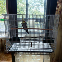 Cages à oiseaux en vrac Chuangduo 35 # -60 #   Cage pour animaux de compagnie résistante à la rouille pour perruches/parakeets, mangeoire, perchoir, garantie 1 an, haute qualité