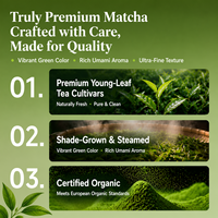 Poudre de thé vert matcha de qualité boulangerie GB Standard pour pain et gâteaux, vente en gros OEM ODM, en vrac, MOQ 10 kg