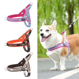 Hondenriem vest-stijl borsttuig voor honden, voor kleine en middelgrote honden, met ketting. - Product Image 5