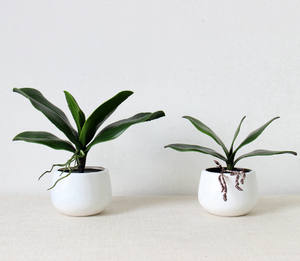 Plantes vertes artificielles 1 lot, feuilles d'orchidées papillon sensation de la main, pour décoration de la maison et du bureau - Product Image 5