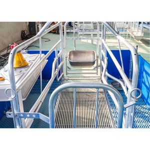 Hot <b>Sale</b> Galvanized Pig Farming Equipment Pig Farrowing Crate Sow Farrowing Pen - Product Image 2