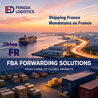 Agente de Transporte de Carga FBA, Envío DDP a Francia, Servicio de Logística al Aeropuerto de Lyon Saint-Exupéry, Reserva de Espacio CIF Estable