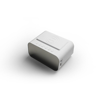 Reloj Despertador Digital con Luz de Despertador, Altavoz Bluetooth, Temperatura y Banco de Energía, Regalo Promocional AFK