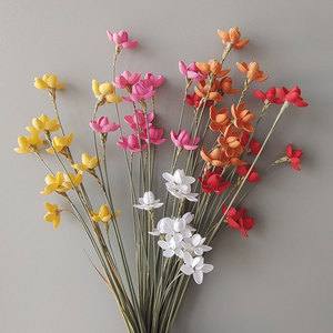Flores de Orquídea Secas al por Mayor, Ramos de Flores Secas de Varios Colores, Accesorios de Fotografía, Decoración del Hogar <span class=keywords><strong>con</strong></span> Orquídeas - Product Image 1