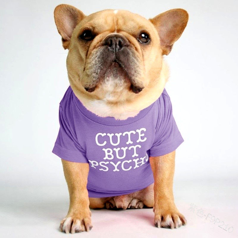 LIGHT purple B
