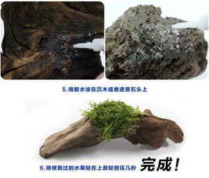 Gel Type Glue for <strong>Aquarium</strong> Drift Wood for <strong>Fish</strong> Tank - Product Image 5