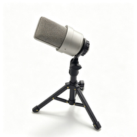 Microphone à condensateur personnalisé en métal argenté mat de haute qualité, corps de microphone, coque de microphone JX103, vente en gros