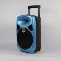Chariot actif portable de 8 pouces en PA de couleur personnalisée Ls-8jm haut-parleur BT polyvalent avec microphone pour les activités de plein air
