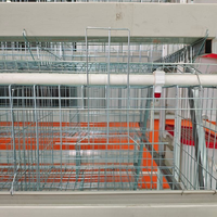 Nouvelle cage à poules pondeuses de type A en acier galvanisé de haute qualité pour élevage avicole, cage à batterie pour poules pondeuses, longue durée de vie