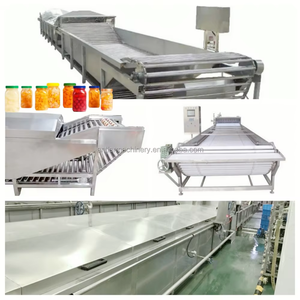 Machine de pasteurisation à bain-marie haute productivité pour l'emballage alimentaire de crevettes et de légumes - Product Image 6