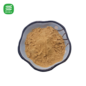 Polvo de Hongo Ostra BioLex Puro y Natural, Ingredientes de Grado Alimenticio para Suplementos, Polvo de Hongo Orgánico - Product Image 3