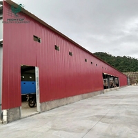 Gallinero Prefabricado de Acero Galvanizado, Diseño Moderno y Económico, Estructura de Marco Metálico para Cría de Aves de Corral