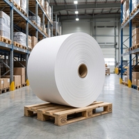 Yırtılmaya Dayanıklı Gıda Sınıfı Silikon Çift Taraflı Yapışmaz Su Geçirmez Pişirme Kağıdı Jumbo Rulo Ekmek İçin Kaynak Fabrika