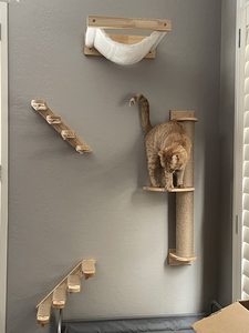 Terbaik ramah lingkungan merek YSCat pohon kucing kayu dinding <span class=keywords><strong>Scratcher</strong></span> Self-Grooming <span class=keywords><strong>Post</strong></span> untuk hewan Sisal Jute bahan untuk - Product Image 5