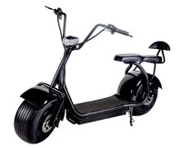 2000W Su Geçirmez Lityum Bataryalı 2 Kişilik Geniş Tekerlekli Arazi Elektrikli Scooter