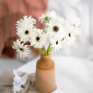 Base de plantación de flores frescas de Yunnan Flores decorativas al por mayor <span class=keywords><strong>Gerbera</strong></span> <span class=keywords><strong>Jamesonii</strong></span> - Product Image 2