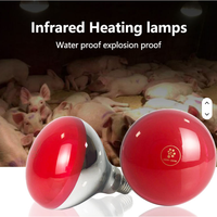 Lampes chauffantes de couleur rouge torréfiée E27 250w pour la restauration, le buffet, le maintien au chaud des aliments