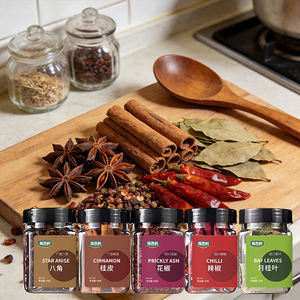 Condimento Vegano 5 en 1 en Polvo, Etiqueta Limpia, Frasco de 220g, Marca Personalizada, Especias al por Mayor B2B - Product Image 1