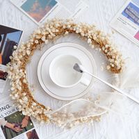 Karangan Bunga Kering Eucalyptus Pampas Gaya Bohemia Buatan Tangan Besar untuk Dekorasi Rumah DIY, Lobi Hotel, Hari Ibu, Natal
