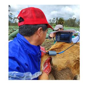 Dawei Koe Galsteen Echografie Machine Runderen Dierenarts Echografie Machine Runderen Echografie Machine - Product Image 1
