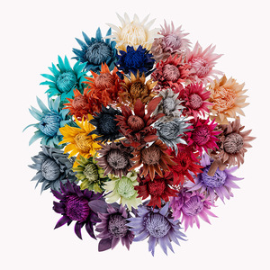 AYOYO OEM Flores Naturales Preservadas de Larga Duración, Protea Gigante Preservada, Flores de Protea, <span class=keywords><strong>Rey</strong></span> de las Flores - Product Image 5