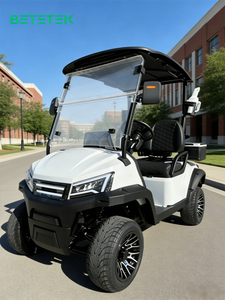 Carrito de Golf Eléctrico, Buggy de Golf de 2 Plazas, Compacto, Batería de Larga Duración, Viajes de Ocio, Transporte para Campos de Golf, Descuento, Certificaciones DOT, CE, GCC, EEC - Product Image 1