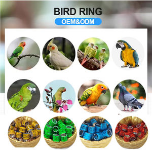 Populaire Kleur Aluminium Vogel <span class=keywords><strong>Ring</strong></span> Kanarie Beenbanden Te Koop 9Mm-10Mm Duivenring 2025 - Product Image 6