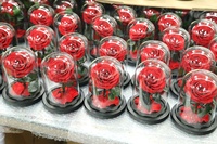 10x15CM dôme en verre décoratif infini stabilisé Rose noël affaires retour idées cadeaux conservé Rose plante