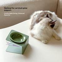 Bol en céramique incliné surélevé pour animaux de compagnie (chats et chiens) – Protection de la colonne cervicale, anti-renversement – Vente transfrontalière